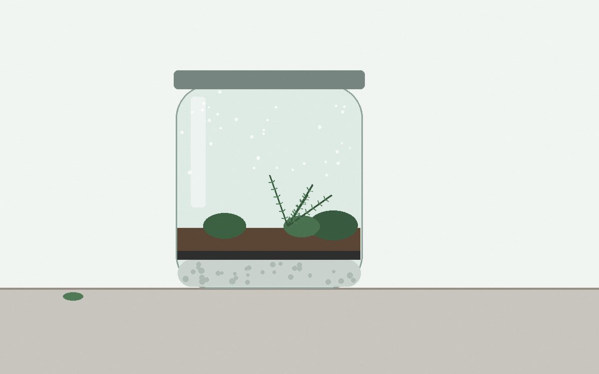 Small bowls of gravel, mesh circle, charcoal and moistened substrate laid out on a counter