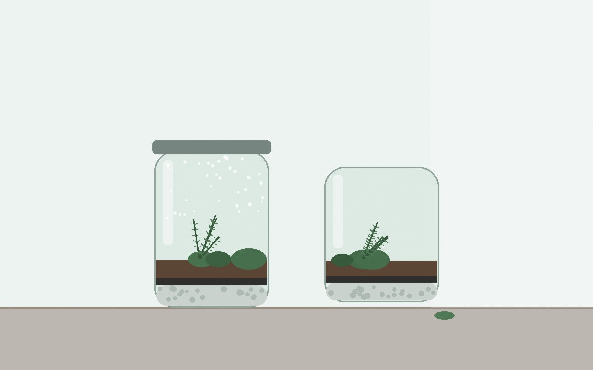 Two jars side by side, one with a lid and one open, on a windowsill