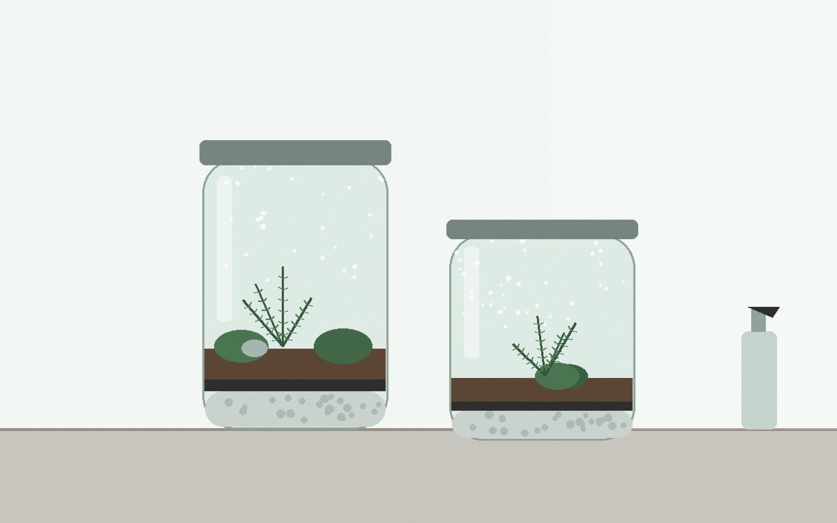 Condensation droplets on the inside of a jar with green moss behind