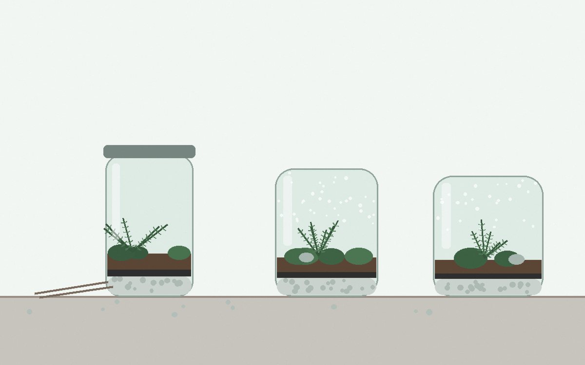 Chopsticks placing a small fern into a jar through the narrow neck