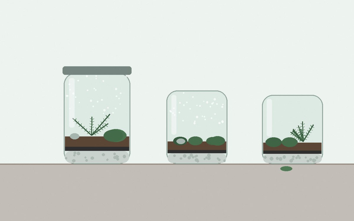 Two jars compared: one with a light morning haze, one streaming with heavy condensation