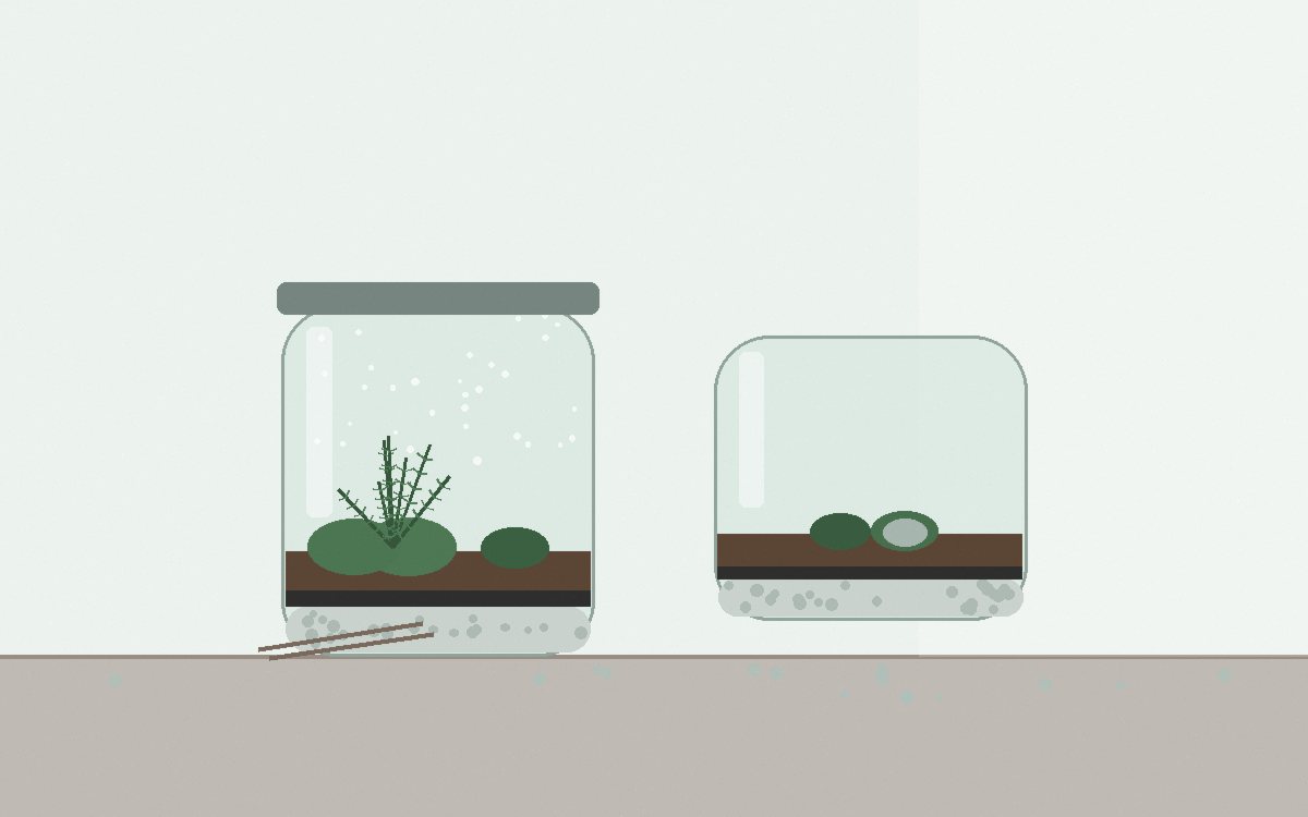 Condensation droplets on the inside of a jar with green moss behind