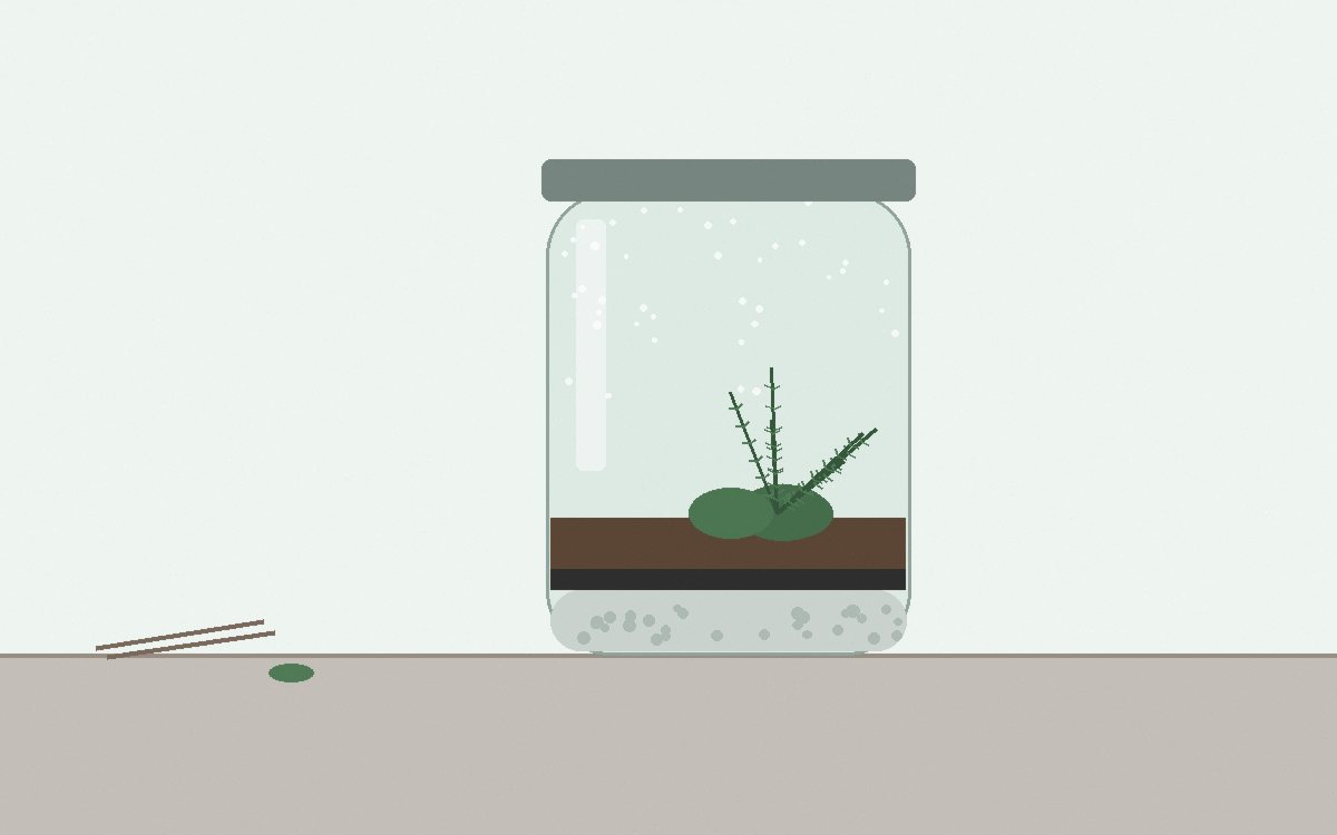 Chopsticks pressing a moss cushion into place inside a wide jar beside a small stone
