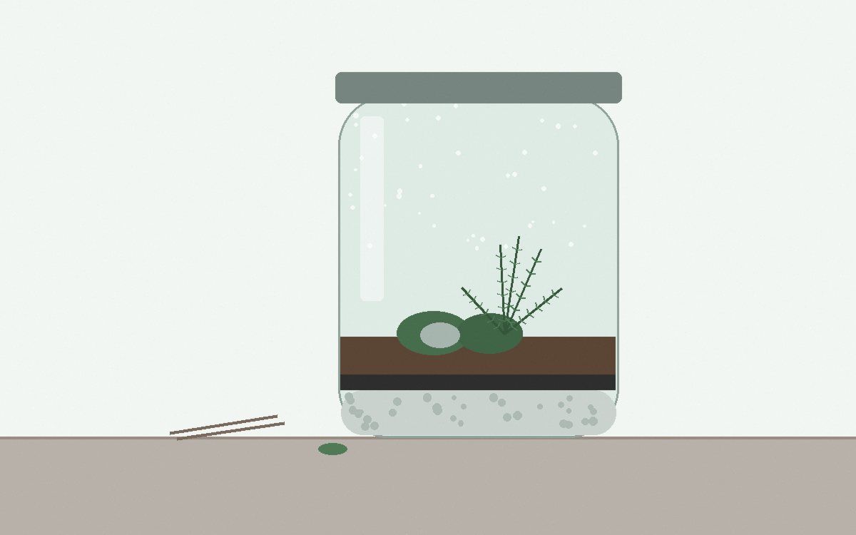 Chopsticks placing a small fern into a jar through the narrow neck